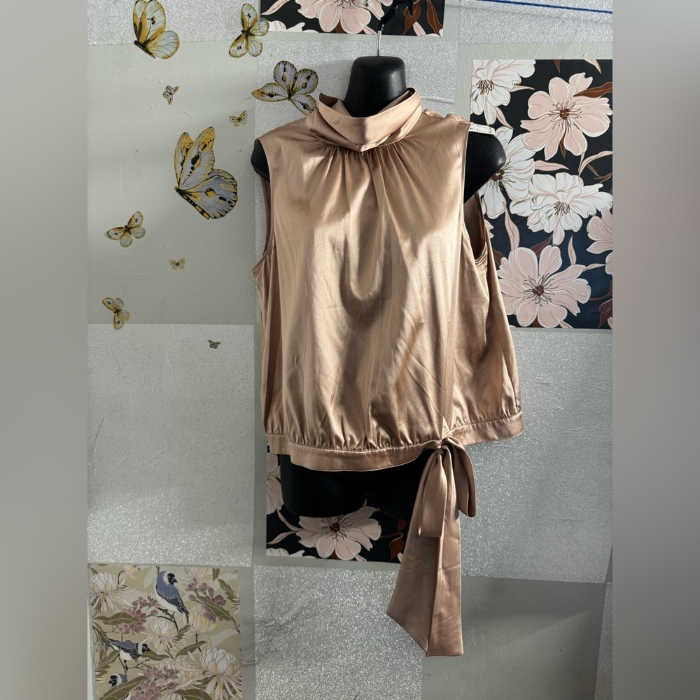 Harold's Tan Sleeveless Blouse